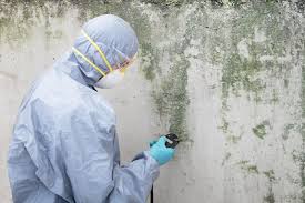 Best Industrial Mold Remediation  in Leavenworth, KS